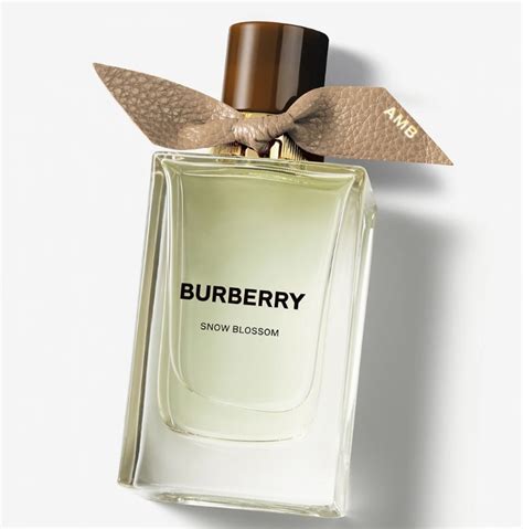 vonavka burberry|Vůně BURBERRY .